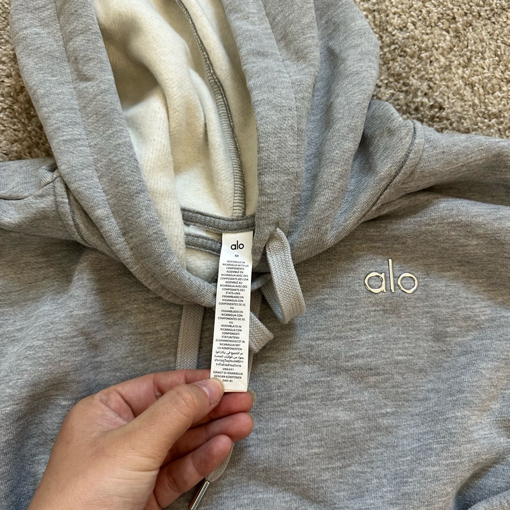 Alo Accolade Hoodie Heather Gray size M NWT - Picture 4 of 5